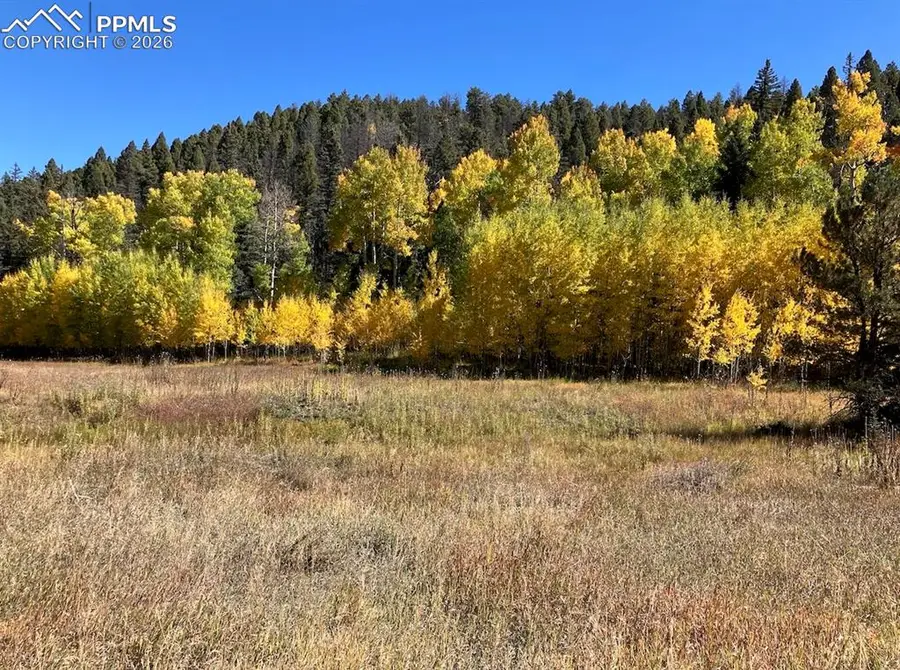 Lot 1 County Road 358, Westcliffe, CO 81252 - #3