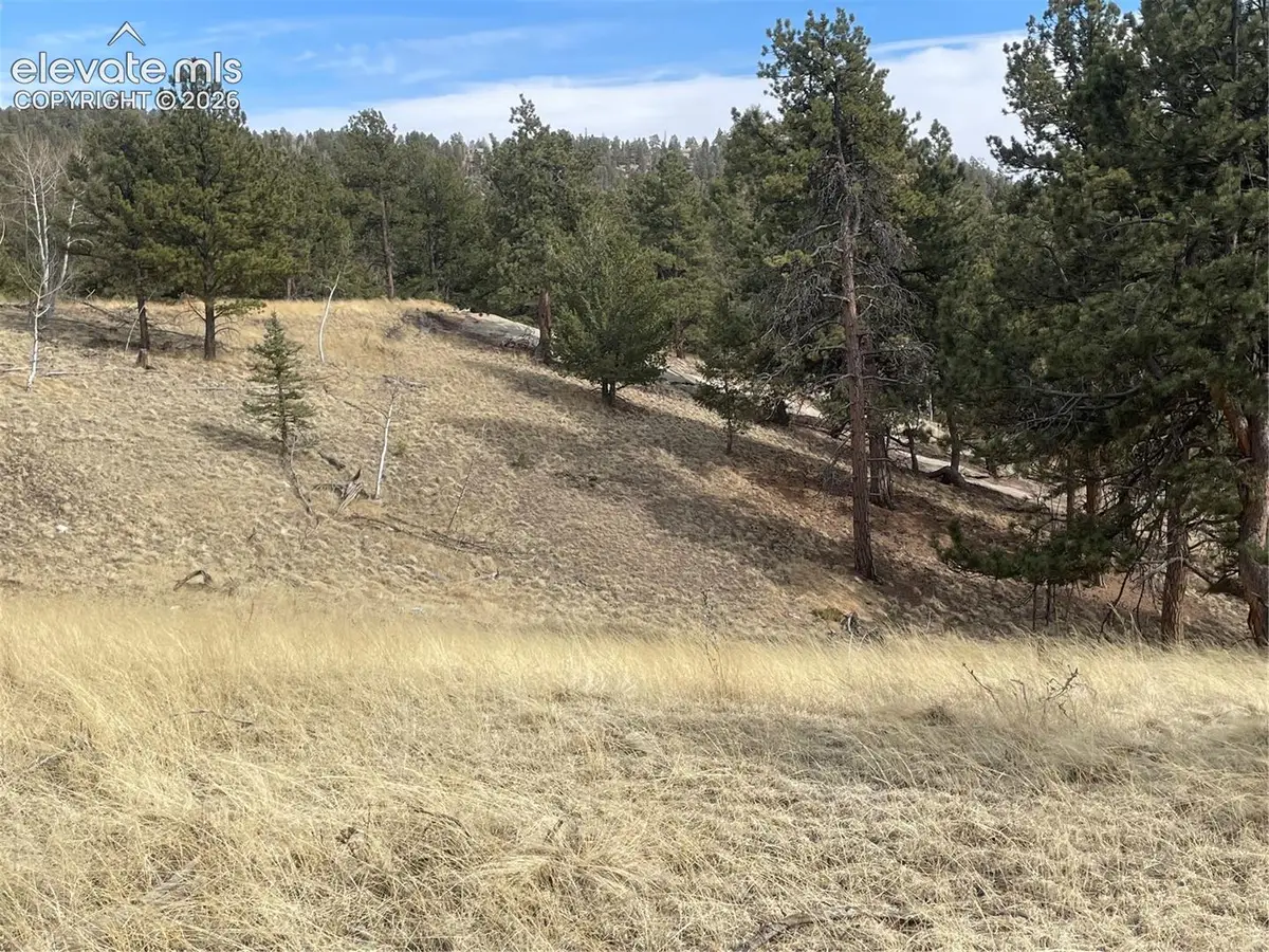 86 & 122 Junction Circle, Florissant, CO 80816 - #1