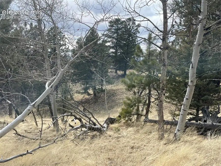 86 & 122 Junction Circle, Florissant, CO 80816 - #3