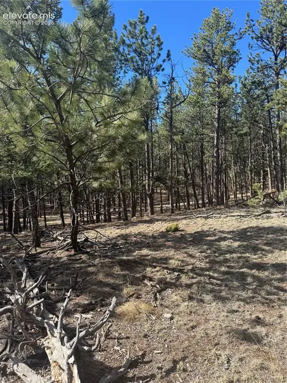 642 Matterhorn Drive, Florissant, CO 80816