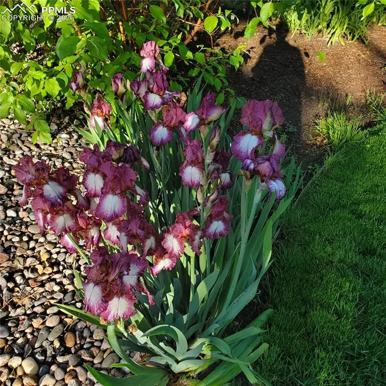 3255 Wesley Lane, Colorado Springs, CO 80917 - #2