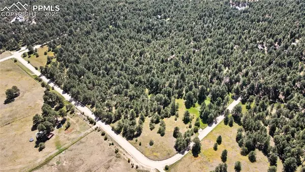 18390 Black Squirrel Road, Colorado Springs, CO 80908