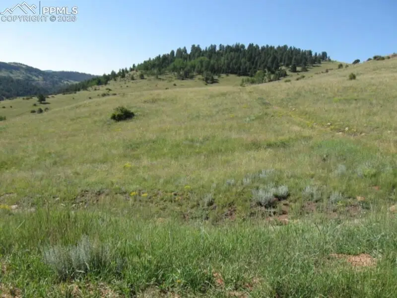 Lot 9-10 Shideler Avenue, Cripple Creek, CO 80813 - #1