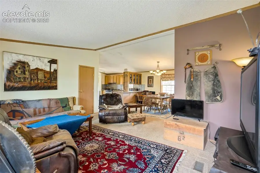 22120 Mcdaniels Road, Calhan, CO 80808 - #3