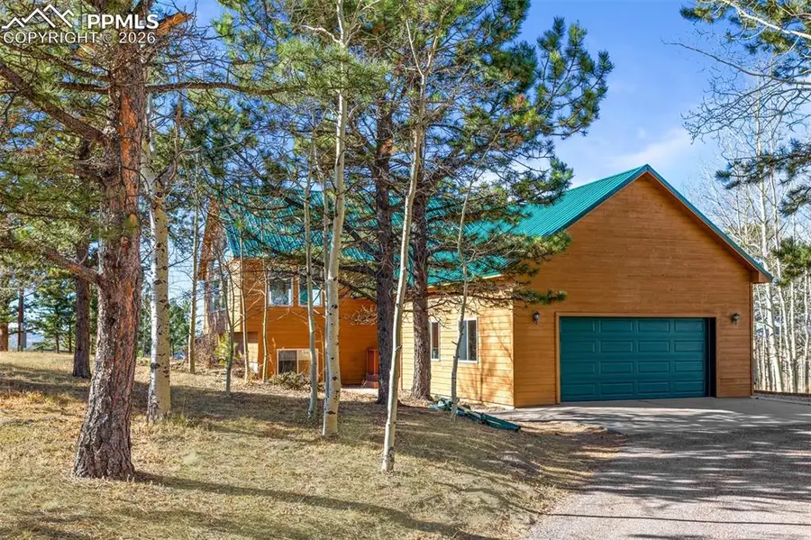 162 Ridge Top Drive, Divide, CO 80814 - #3