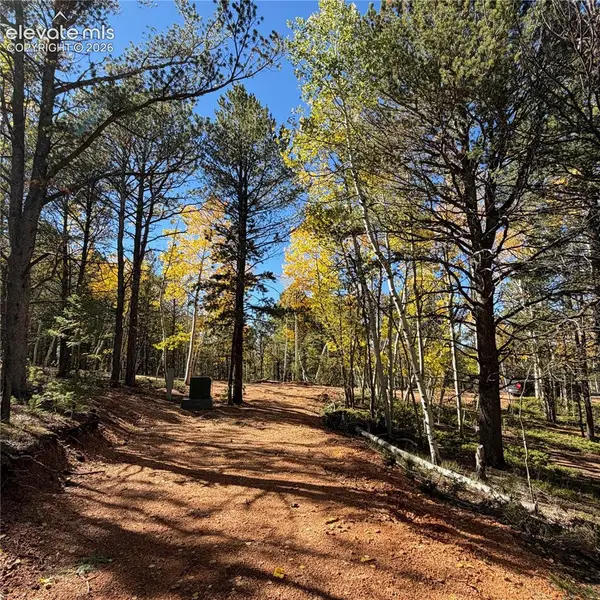 800 Timber Ridge Road, Divide, CO 80814