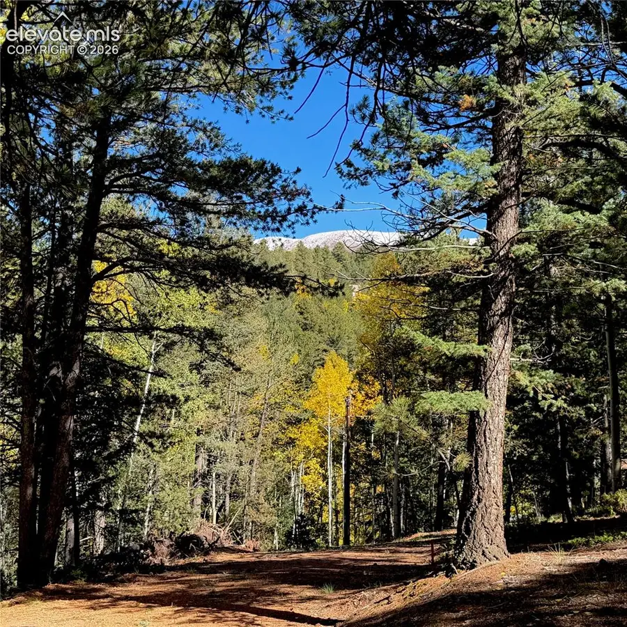 800 Timber Ridge Road, Divide, CO 80814 - #2