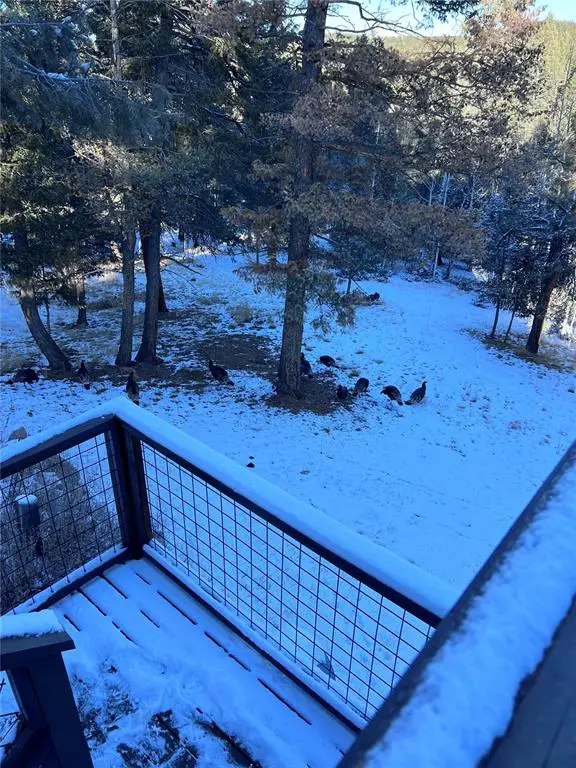 36 Junction Way, Florissant, CO 80816 - Image #3