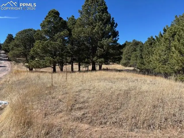 3560 Range View Road, Monument, CO 80132 - #2