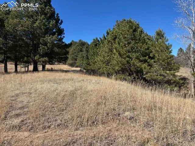 3560 Range View Road, Monument, CO 80132 - #3