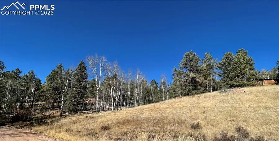 3090 N Mountain Estates Road, Florissant, CO 80816 - Image #3