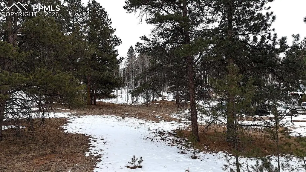 210 Rhyolite Lane, Florissant, CO 80816 - Image #1