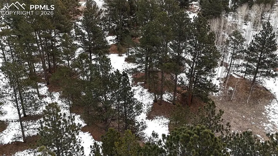 210 Rhyolite Lane, Florissant, CO 80816 - Image #2