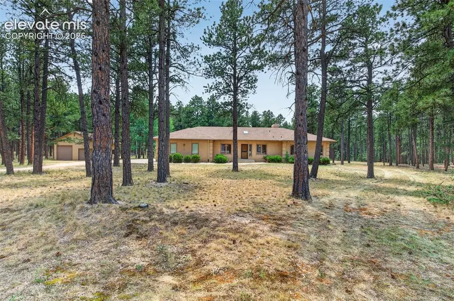 155 Pontiac Loop, Monument, CO 80132 - #2