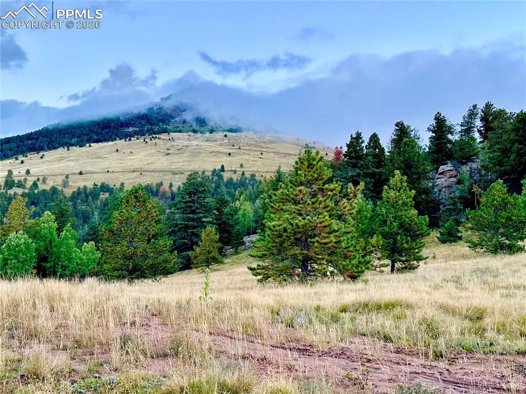 908 Penrose Circle, Cripple Creek, CO 80813 - #1