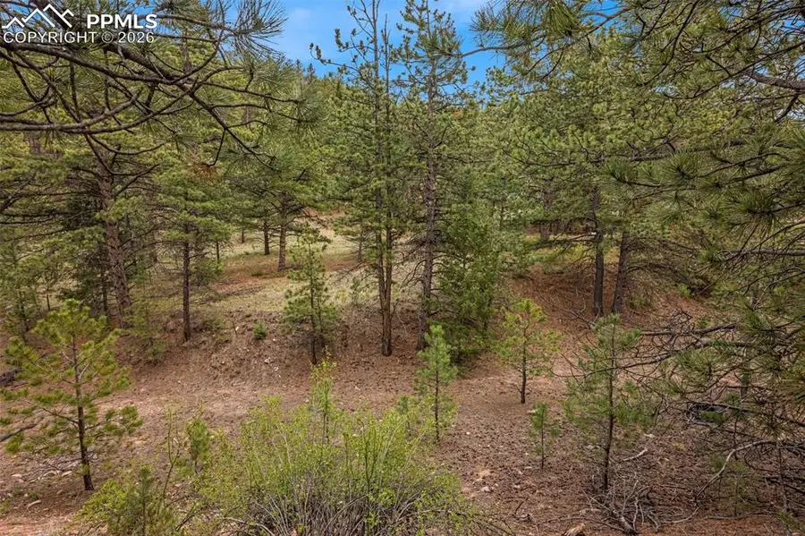 776 County Road 26, Canon City, CO 81212 - #2