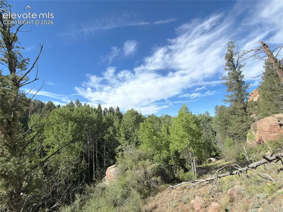 3300-3278 N Mountain Estates Road, Florissant, CO 80816 - #2