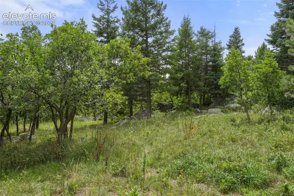 5085 Broadlake View, Colorado Springs, CO 80906