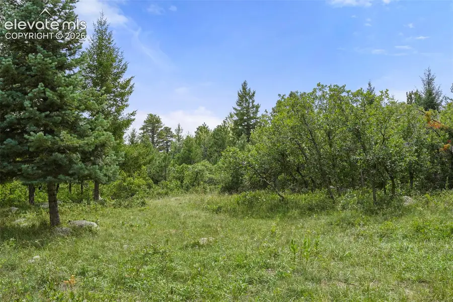 5085 Broadlake View, Colorado Springs, CO 80906 - #3