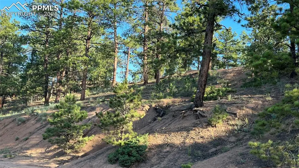 19 Ranch Road, Sedalia, CO 80135 - Image #1