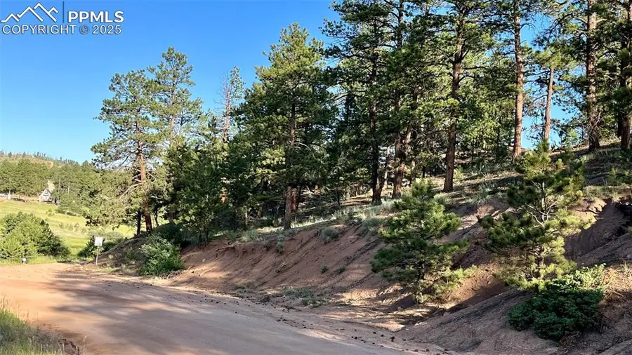 19 Ranch Road, Sedalia, CO 80135 - Image #3