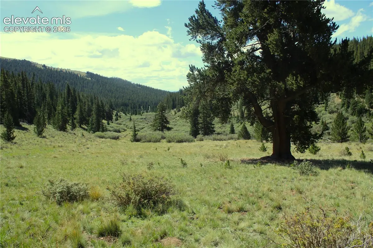 3956 Fs 659 Road, Fairplay, CO 80440 - #1