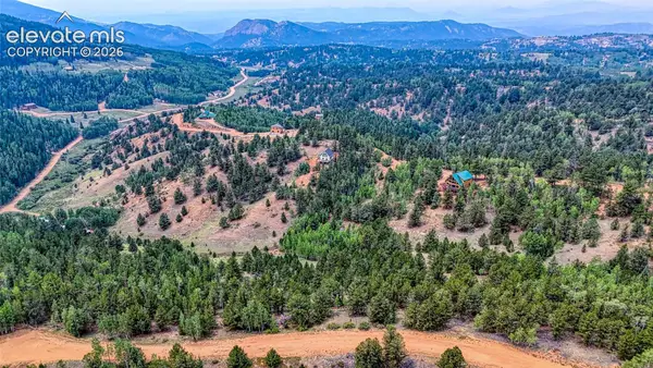 71 Brown Bear Lane, Cripple Creek, CO 80813