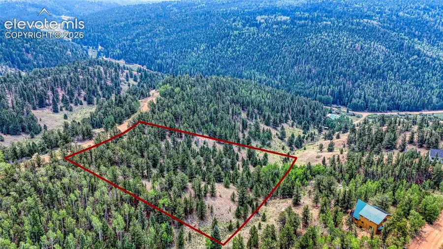 71 Brown Bear Lane, Cripple Creek, CO 80813 - #2