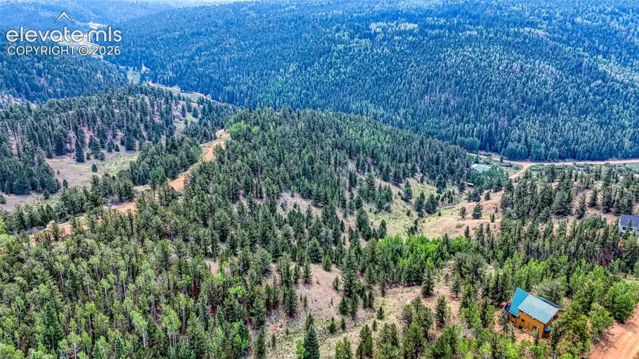 71 Brown Bear Lane, Cripple Creek, CO 80813 - #3