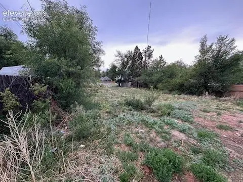 824 E Costilla Street, Colorado Springs, CO 80903 - #1