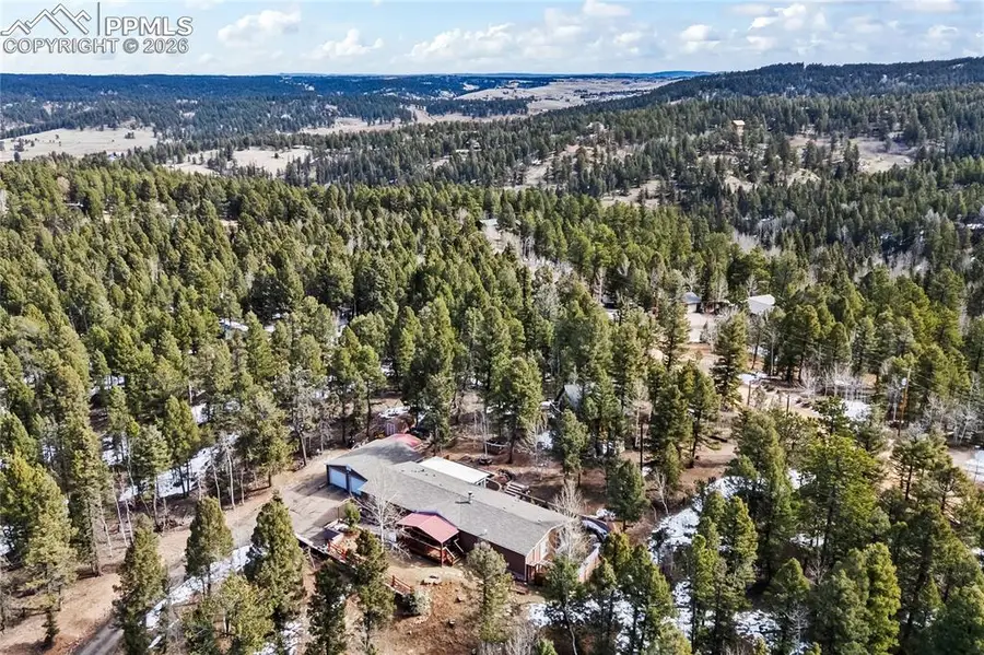 146 Kokwapy Court, Florissant, CO 80816 - #3