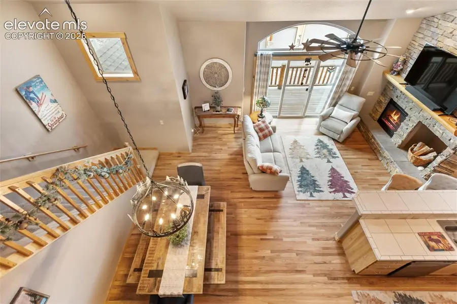133 Elk Grove Lane, Woodland Park, CO 80863 - #3