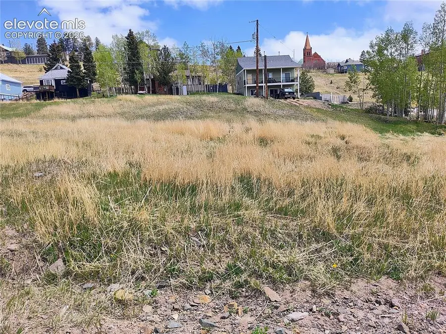 L 13-14 Crystal Street, Cripple Creek, CO 80813 - #2