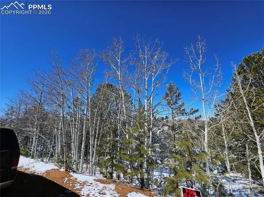 829 Princess Road, Cripple Creek, CO 80813 - #2