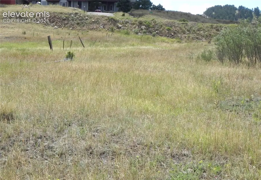Lot 41-42 S 1st Street, Cripple Creek, CO 80813 - #2