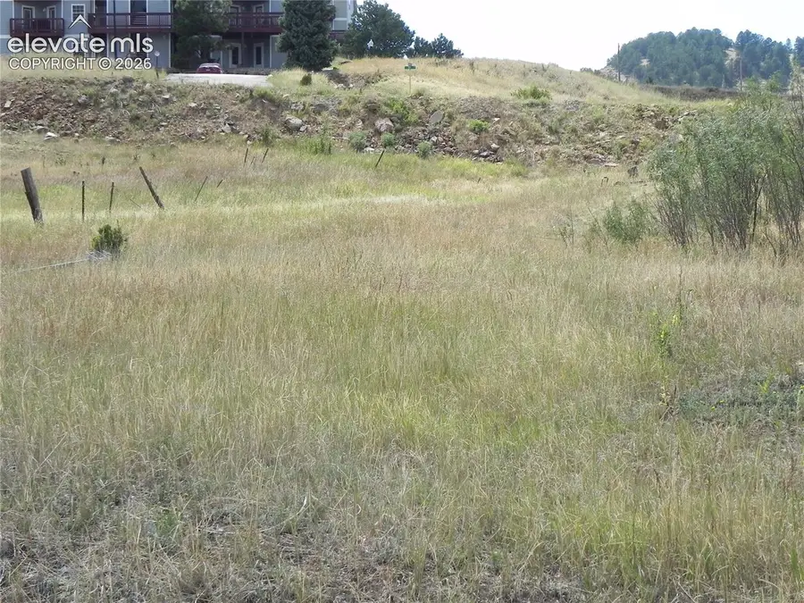 Lot 41-42 S 1st Street, Cripple Creek, CO 80813 - #3