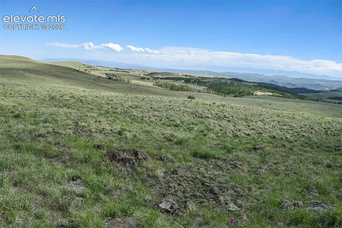 00 Bear Cat Road, Guffey, CO 80820 - #1