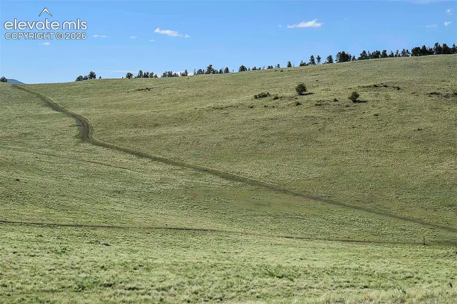 00 Bear Cat Road, Guffey, CO 80820 - #2
