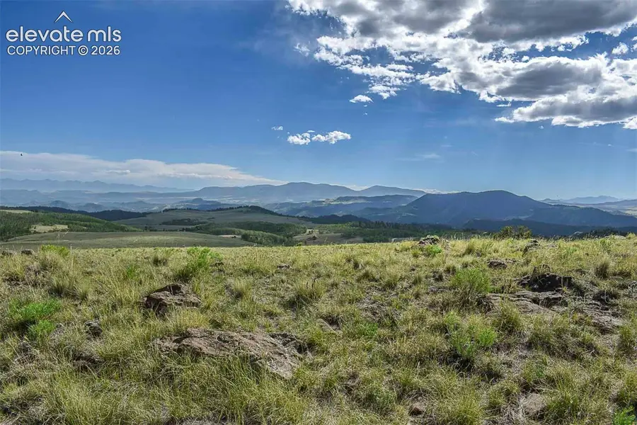 00 Bear Cat Road, Guffey, CO 80820 - #3