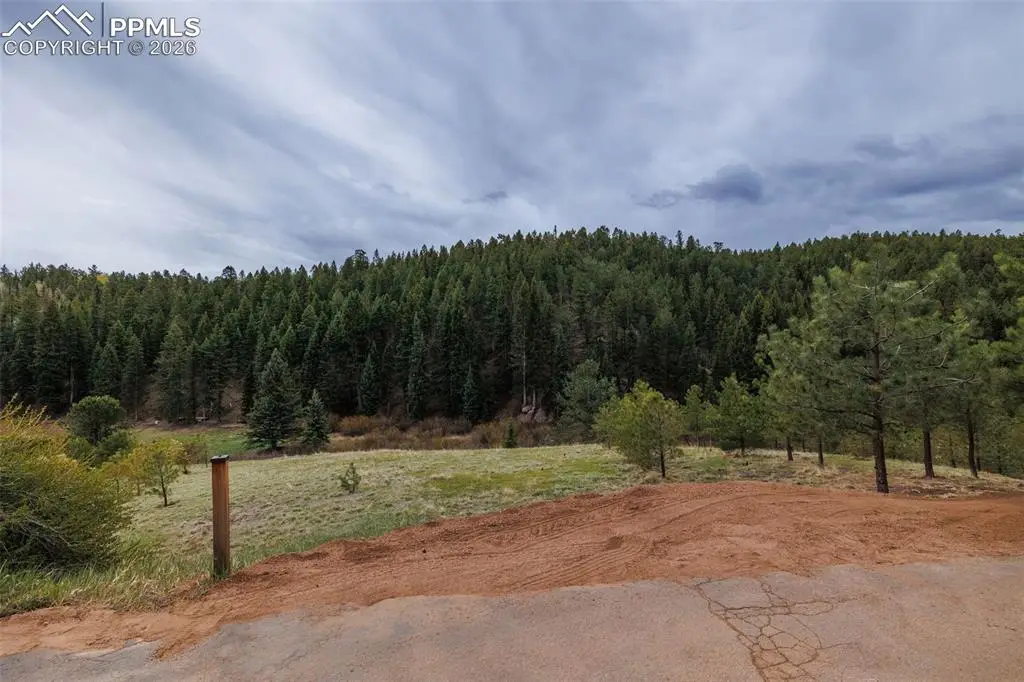 521 University Drive, Woodland Park, CO 80863 - #1