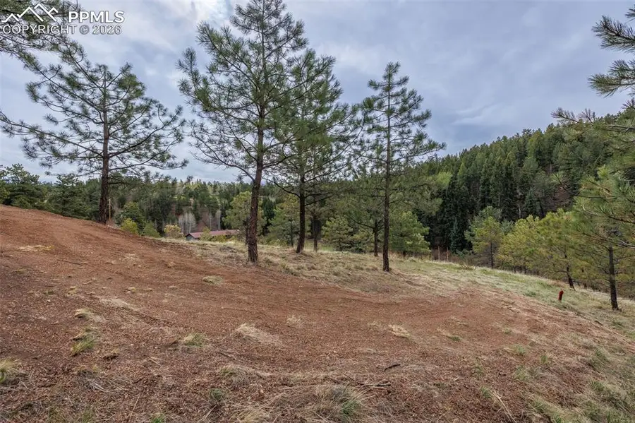 521 University Drive, Woodland Park, CO 80863 - #2