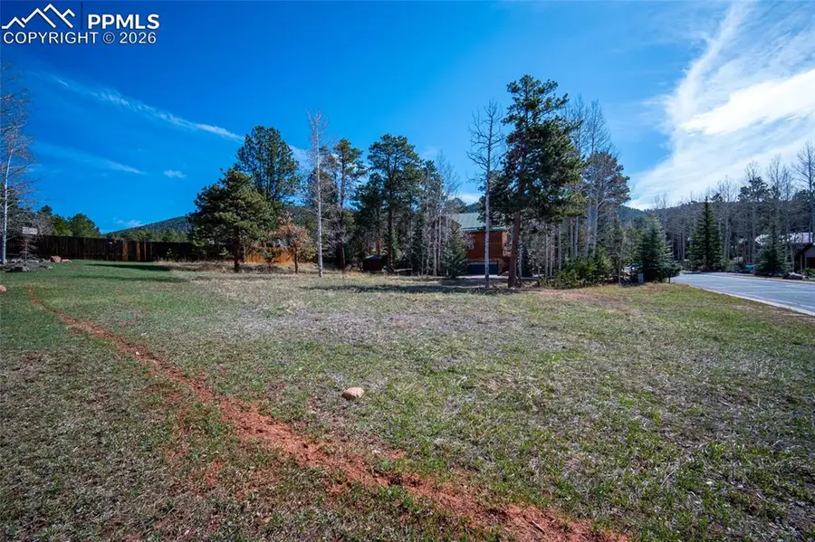 620 Skyline Drive, Woodland Park, CO 80863 - #3