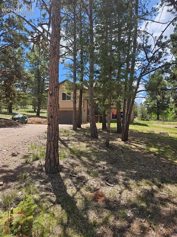 24 Big Horn Circle, Florissant, CO 80816