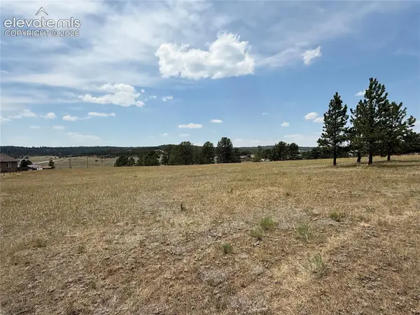 350 High Pasture Road, Florissant, CO 80816