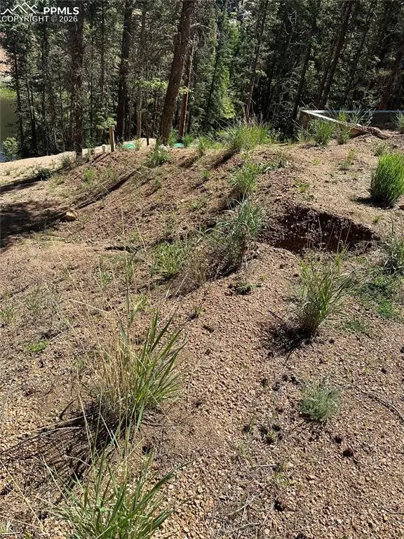 67 Gerka Lane, Florissant, CO 80816