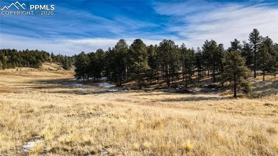 150 High Pasture Road, Florissant, CO 80816 - #3