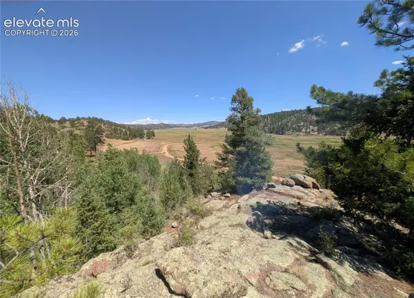 313 Elliott Drive, Florissant, CO 80816