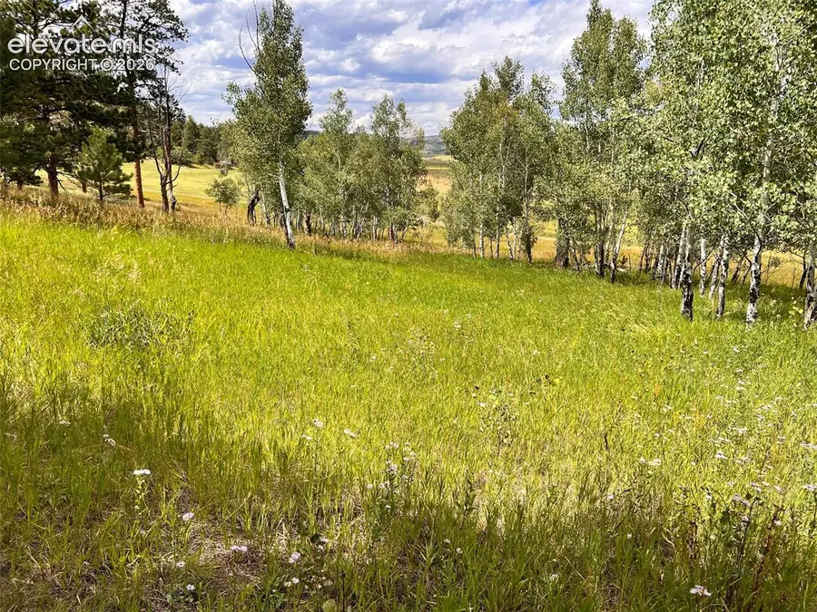 313 Elliott Drive, Florissant, CO 80816 - #3