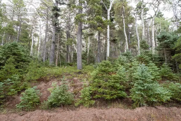 LOT 2614 Petito Drive, Fort Garland, CO 81133
