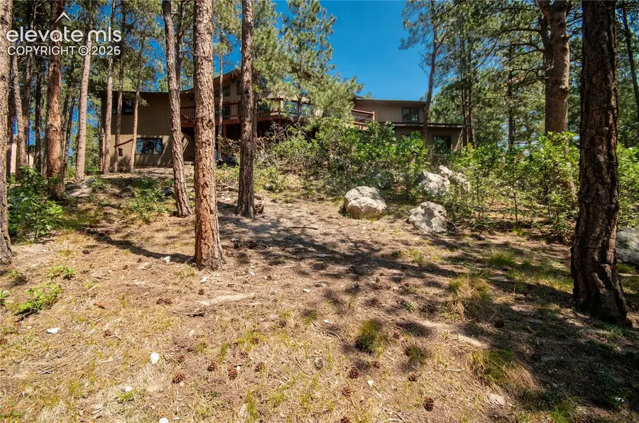 17360 E Caribou Drive, Monument, CO 80132 - #2
